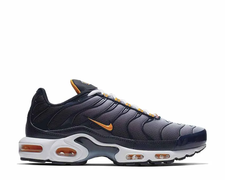 Nike Air Max Plus Dark Obsidian