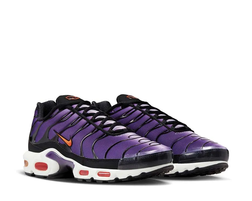 Nike Air Max Plus OG