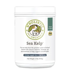 Sea Kelp